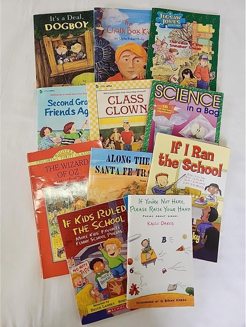 Lot Of 11 Chapter Books Elementary Level